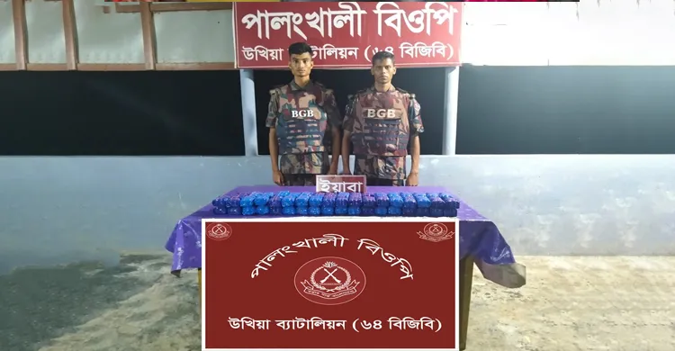 ছবিঃ সংগৃহীত