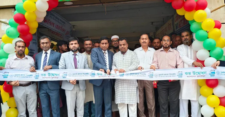 ছবিঃ সংগৃহীত