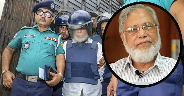 ছবিঃ সংগৃহীত