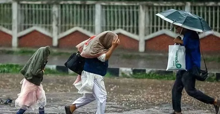 ছবিঃ সংগৃহীত