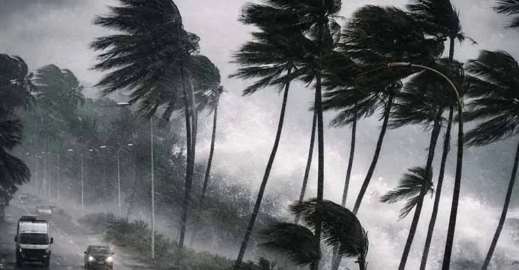 ছবিঃ সংগৃহীত