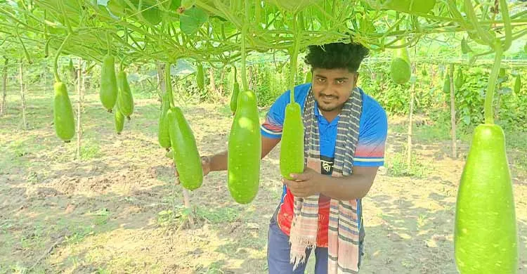 ছবিঃ সংগৃহীত