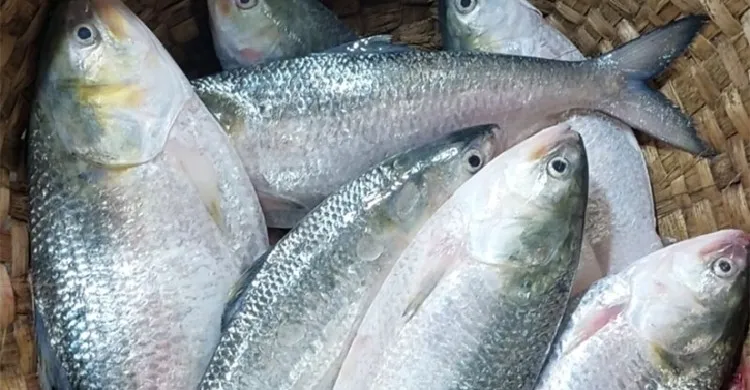 ছবিঃ সংগৃহীত