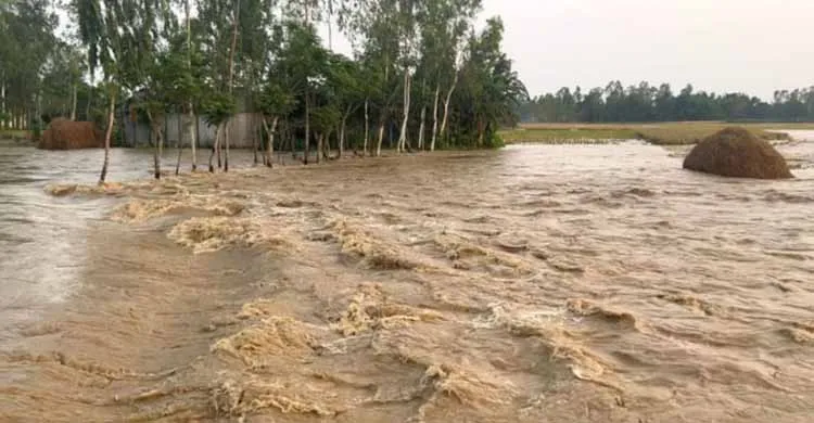 ছবিঃ সংগৃহীত