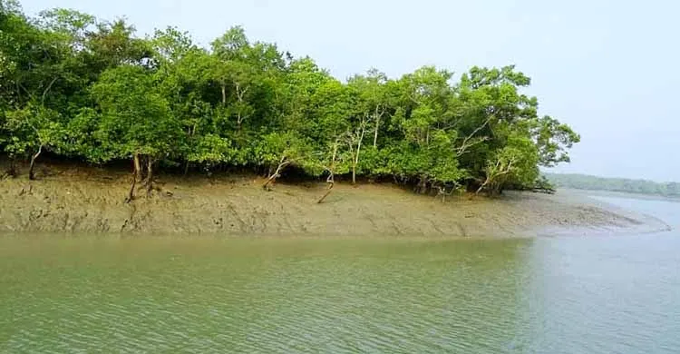 সুন্দরবনে আবারও ৮ জেলে অপহরণ, মুক্তিপণ দাবি