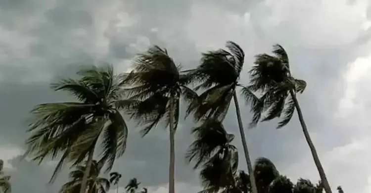 ছবিঃ সংগৃহীত