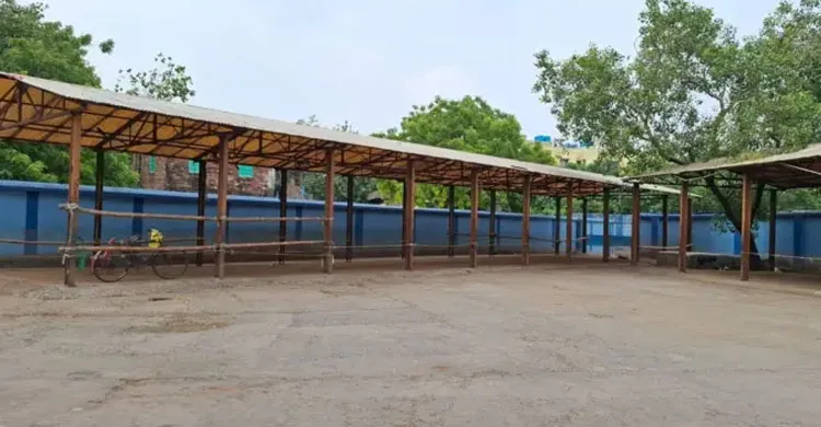 কলকাতায় কোরবানির ঈদের আগে গরু সরবরাহ সংকট, বাজারে পরিবর্তন