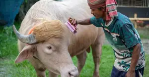 ডোনাল ট্রাম্পের কোরবানি নিয়ে স্বরাষ্ট্রমন্ত্রীর হস্তক্ষেপ