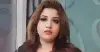 পুশইন ঠেকাতে ভারতকে ১২-১৩টি চিঠি দিয়েছে সরকার: পররাষ্ট্র প্রতিমন্ত্রী