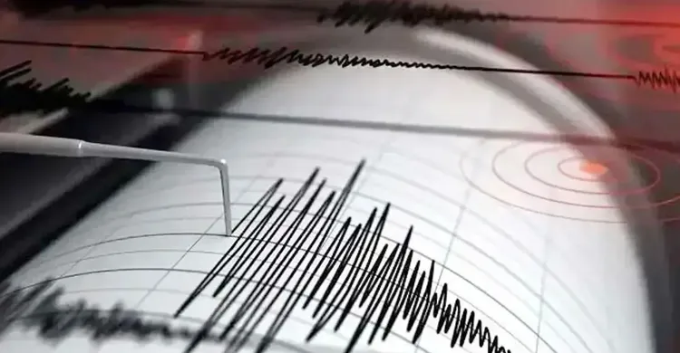 ছবিঃ সংগৃহীত