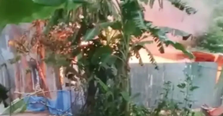 পাবনায় কিশোরীকে ধর্ষণ-হত্যার জেরে আসামীদের বাড়িতে অগ্নিসংযোগ, দগ্ধ হয়ে নিহত ৩