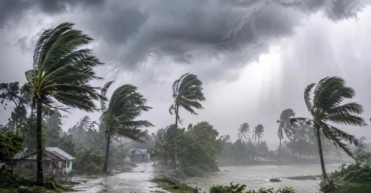 ছবিঃ সংগৃহীত