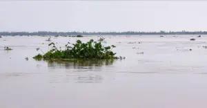 উজানের ঢলে তিস্তার পানি বিপৎসীমার ওপরে
