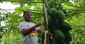 ইউটিউব দেখে সমন্বিত চাষে সফল তরুণ কৃষি উদ্যোক্তা সুমন, বছরে আয় ১৫ লক্ষ টাকা