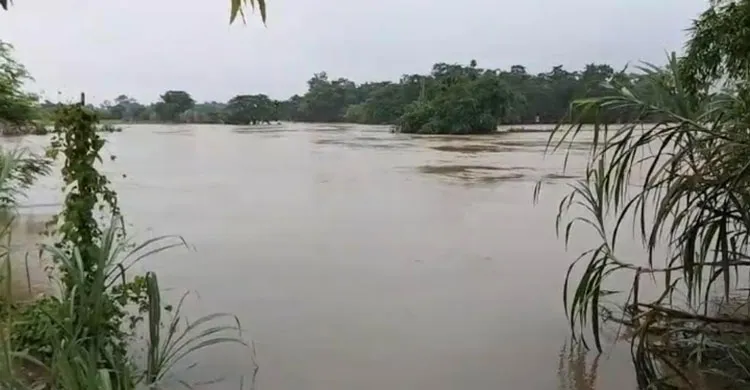 ছবিঃ সংগৃহীত