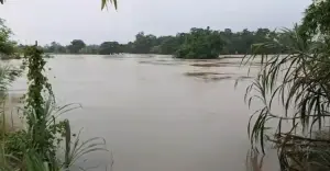 টানা বৃষ্টি ও পাহাড়ি ঢলে বন্যার শঙ্কা, নদীতীরের মানুষকে সর্বোচ্চ সতর্ক থাকার আহ্বান