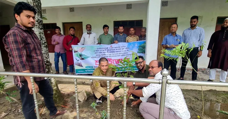 ফেনীতে সবুজায়নের উদ্যোগ, আমিরাবাদ ভবানী চরণ লাহা স্কুল অ্যান্ড কলেজে বৃক্ষরোপণ
