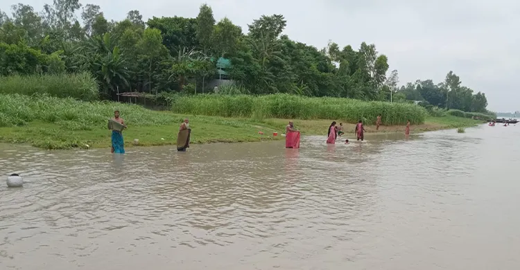 বেড়ায় ভাঙন ও বন্যা আতঙ্কে নদী পাড়ের মানুষ