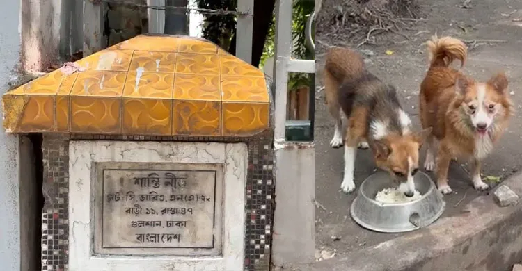 গুলশানে উধাও বাড়ির মালিক, ভেতরে অভুক্ত ১১ বিদেশি কুকুর
