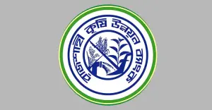 রাজশাহী কৃষি উন্নয়ন ব্যাংক যেন নৈরাজ্যের আস্তানা
