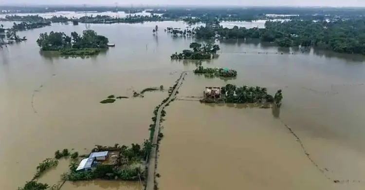 ছবিঃ সংগৃহীত