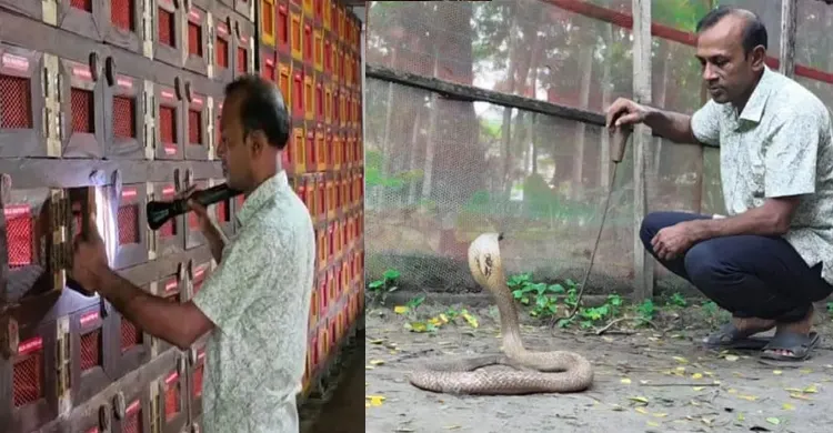 ছবিঃ সংগৃহীত