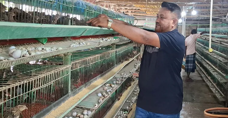 প্রবাসে দেখা স্বপ্ন, দেশে ফিরে সফলতা