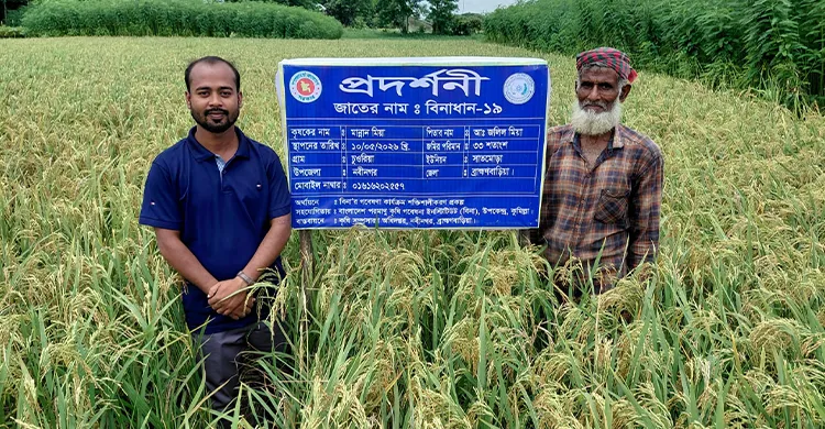 ছবিঃ সংগৃহীত