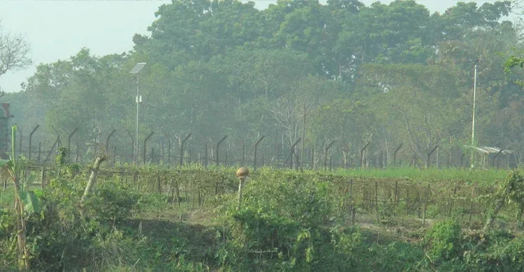 ঝিনাইদহে সীমান্তে বিএসএফের গুলিতে বাংলাদেশি আহত