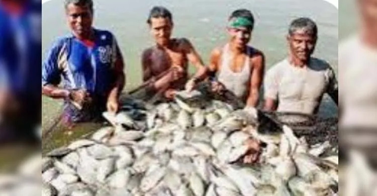 মিঠা পানির মাছ উৎপাদনে দেশের প্রধান অঞ্চল রাজশাহী