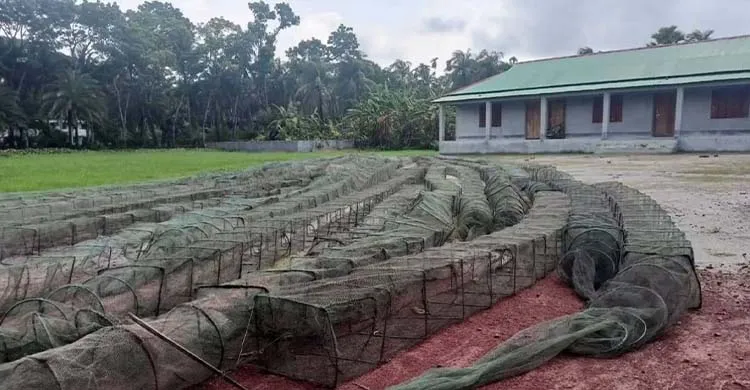 পিরোজপুরে খাল-বিলে অভিযান, বিপুল পরিমাণ চায়নাদুয়ারি জাল জব্দ