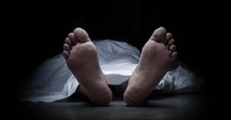 বাগেরহাটে জমিতে হাঁস ঢোকাকে কেন্দ্র করে হামলা, বৃদ্ধ নিহত