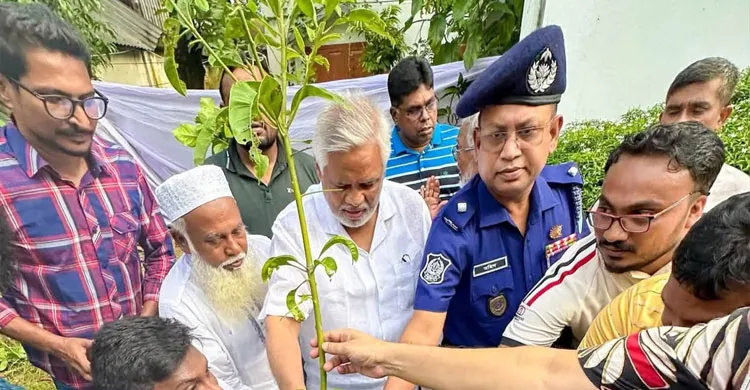 তেঁতুলঝোড়ায় বৃক্ষরোপণ ও চারা বিতরণ, জনগণের সেবায় আমান উল্লাহ আমান