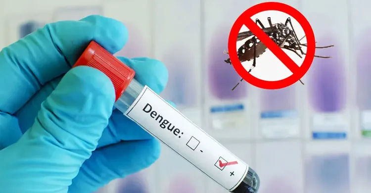 ডেঙ্গুতে এক দিনে সর্বোচ্চ আক্রান্ত, মৃত্যু ৩