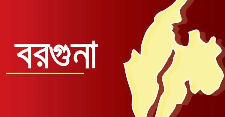 পাথরঘাটায় ভাতিজার বিরুদ্ধে চাচিকে পিটিয়ে হত্যার অভিযোগ