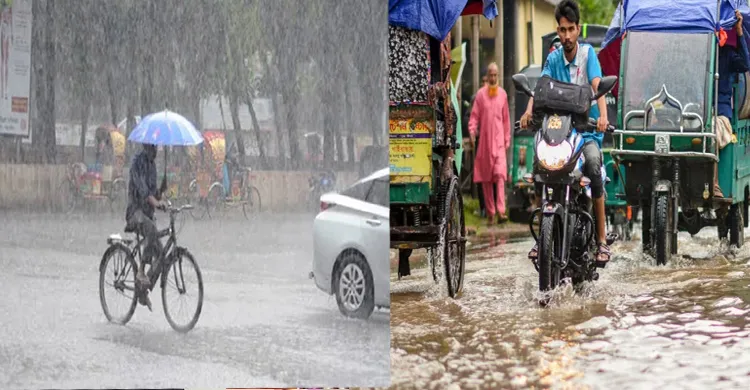 ছবিঃ সংগৃহীত