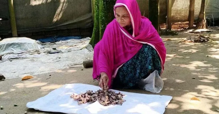 জর্দার কৌটায় ১০ বছরের সঞ্চয়, খুলে দেখলেন সব শেষ