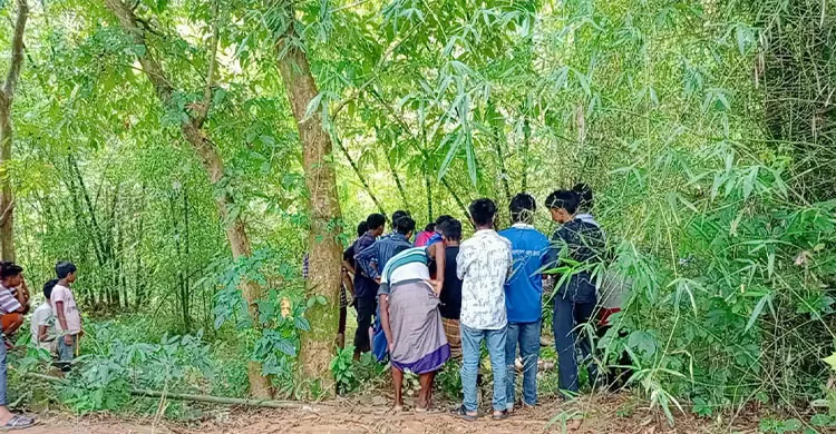 ছবিঃ সংগৃহীত