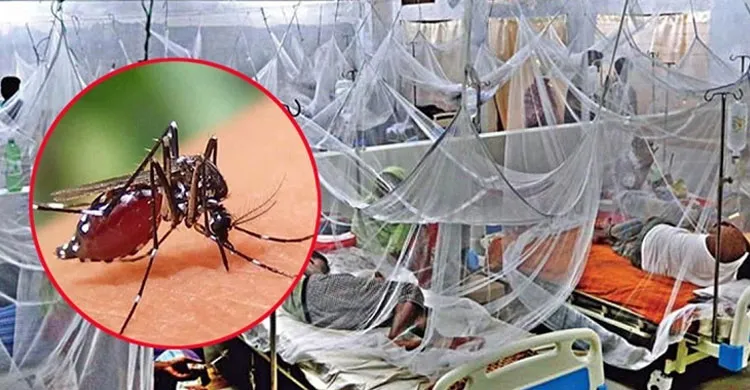 ডেঙ্গুতে একদিনে আরও ৫ জনের মৃত্যু, হাসপাতালে ভর্তি ১ হাজার ৪৮৪
