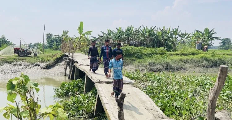 ভাঙা কালভার্টে ঝুঁকি নিয়ে যানচলাচল, দুর্ভোগে পাঁচ হাজার মানুষ