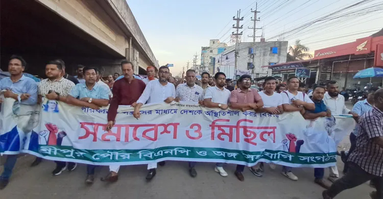 আওয়ামী লীগের সন্ত্রাস-নৈরাজ্যের প্রতিবাদে বিএনপির বিক্ষোভ