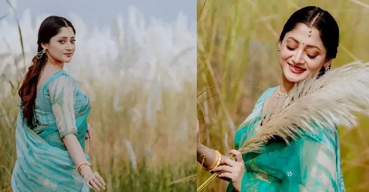 কাশবনে পূজা চেরী, শরতের সাজে মুগ্ধ ভক্তরা