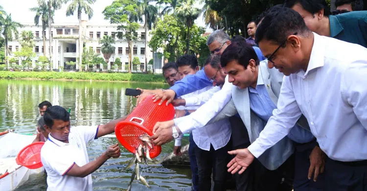 জাতীয় মৎস্য পক্ষ: ঢাবির কার্জন হল পুকুরে পোনামাছ অবমুক্ত