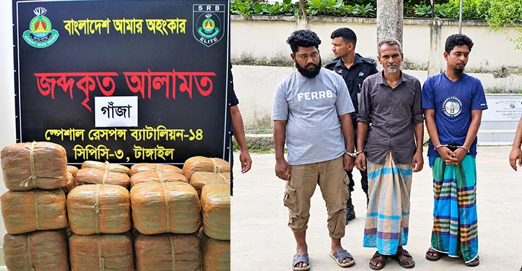 টাঙ্গাইলে ১০০ কেজি গাঁজাসহ কৃষকদল নেতাসহ গ্রেপ্তার ৩