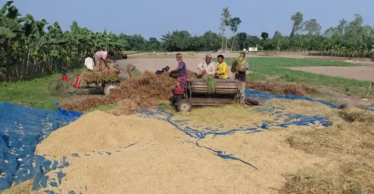 ছবিঃ সংগৃহীত