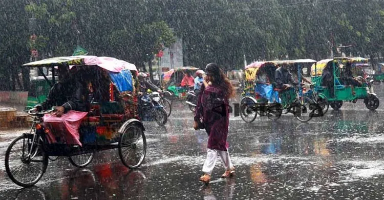 ছবিঃ সংগৃহীত