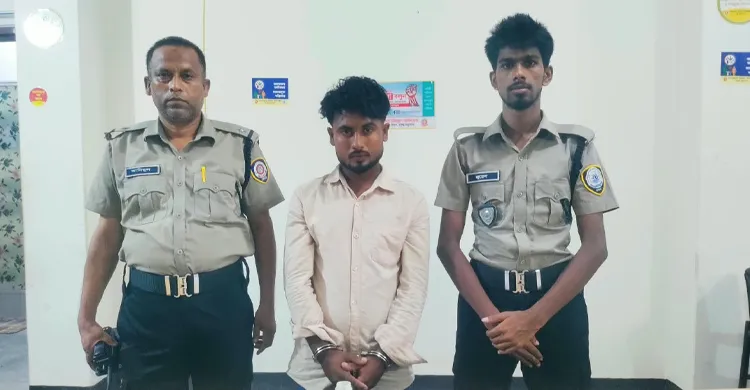 ছবিঃ সংগৃহীত
