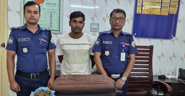মঠবাড়িয়ায় ৪ কেজি গাঁজাসহ মাদক কারবারি গ্রেপ্তার
