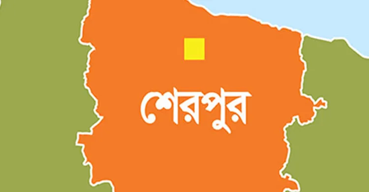 শেরপুরে পূর্বশত্রুতার জেরে যুবককে পিটিয়ে জখমের অভিযোগ