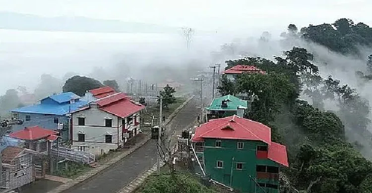 ছবিঃ সংগৃহীত